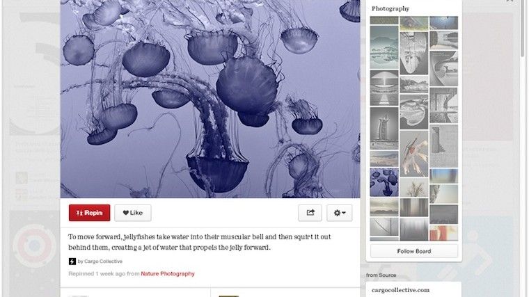 Pinterest New Look 3