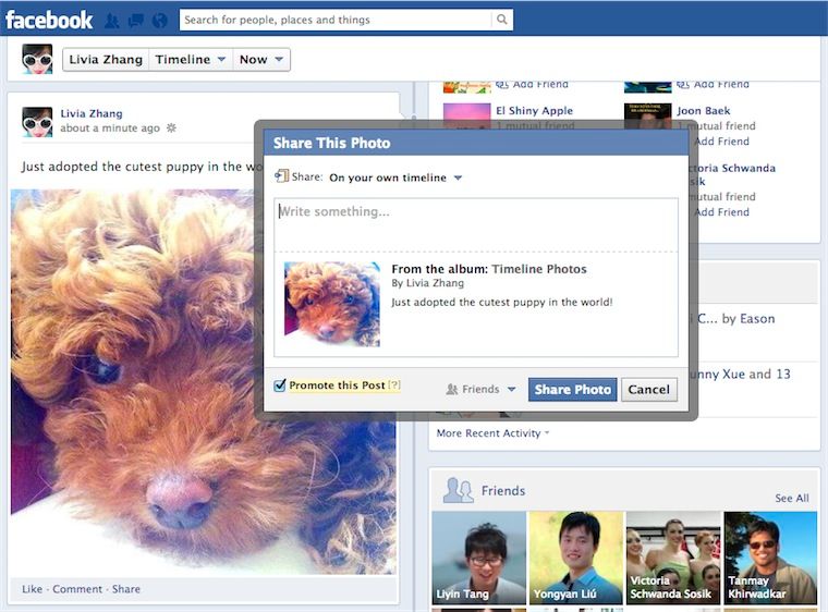 Facebook: i Promoted Post anche per gli Amici