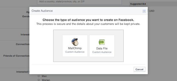 CustomAudiences650