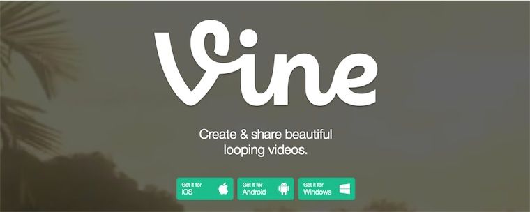 Vine ha introdotto i Profili Web