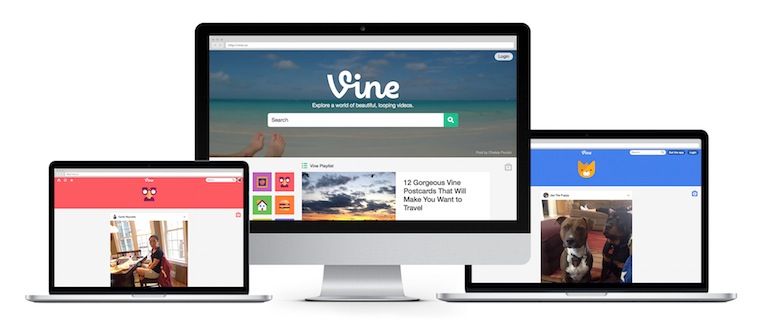 Vine
