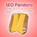 Seo pandoro natale