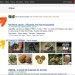 <b>Google Search, plus Your World presto anche in Italia</b>