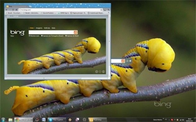 Bing Destkop (in beta) è sul Microsoft Download Center