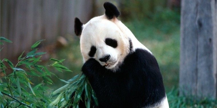 Update #24 per Google Panda