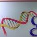 <b>Google: anche i farmaci nel Knowledge Graph</b>