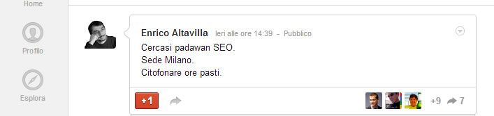 seo padawan