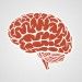 brain search
