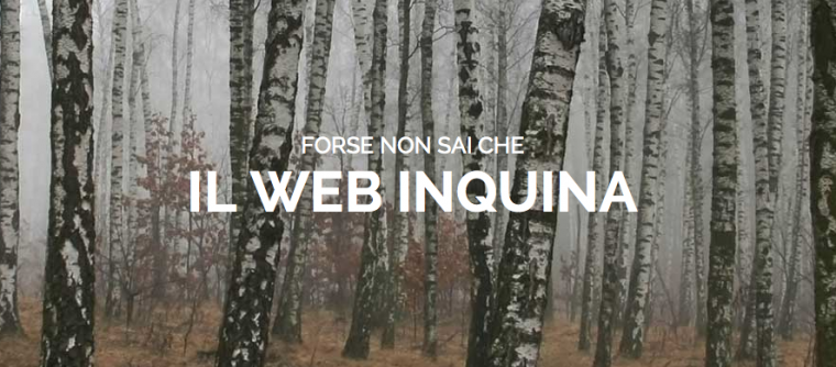 Web-Consumo-2