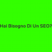 bisogno seo