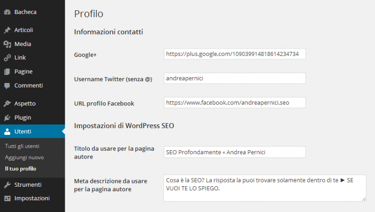 Utenti wordpress SEO