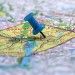 <b>[REPORT] L'ascesa del Local Marketing</b>