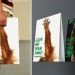 <b>15 Shopping Bag incredibilmente Creative</b>