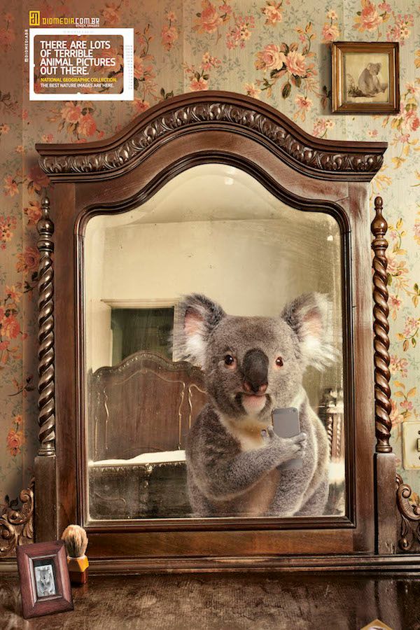 national-geographic-3