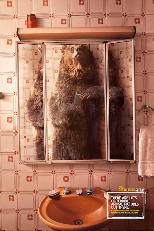 national-geographic-4