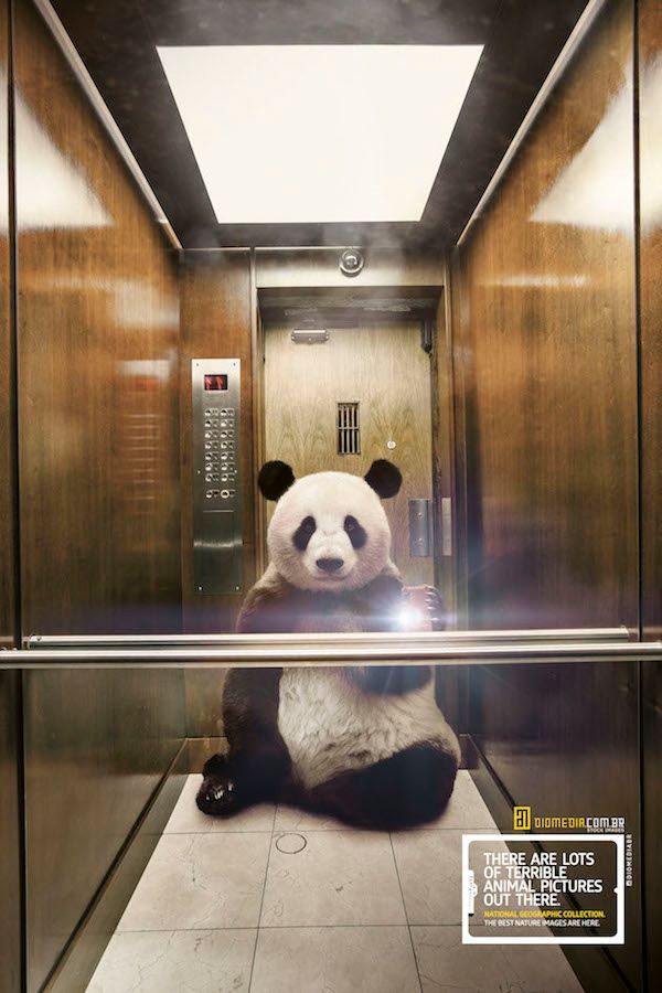 national-geographic-5