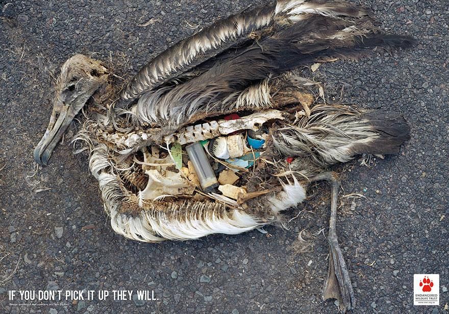 public-interest-public-awareness-ads-4