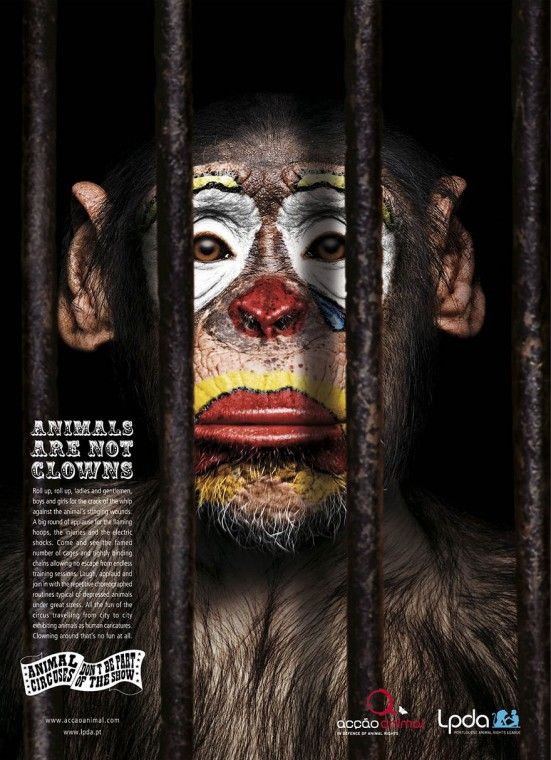 public-social-ads-animals-1
