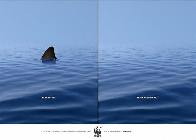 public-social-ads-animals-118
