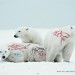 <b>15 Campagne di Sensibilizzazione a Difesa degli Animali</b>