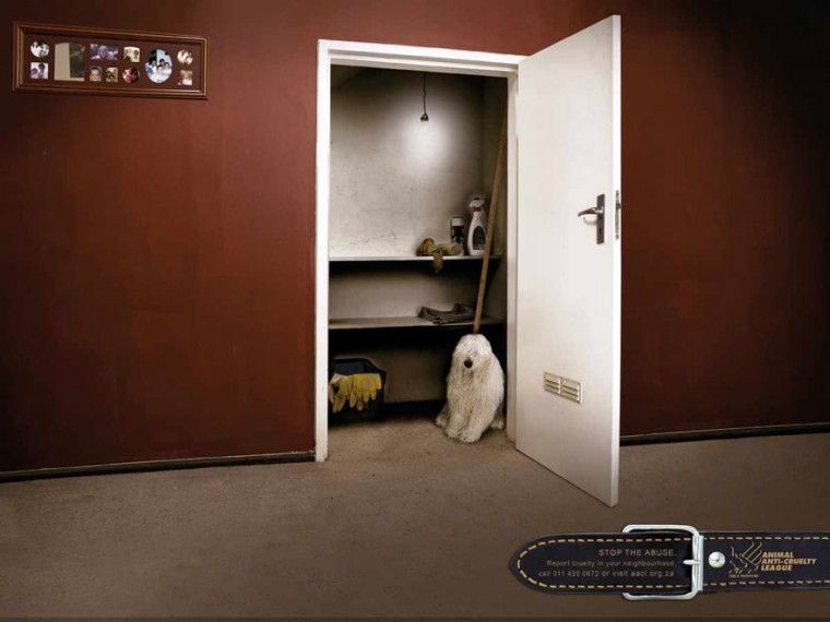 public-social-ads-animals-26