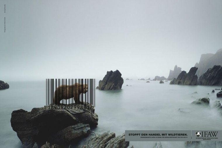 public-social-ads-animals-33