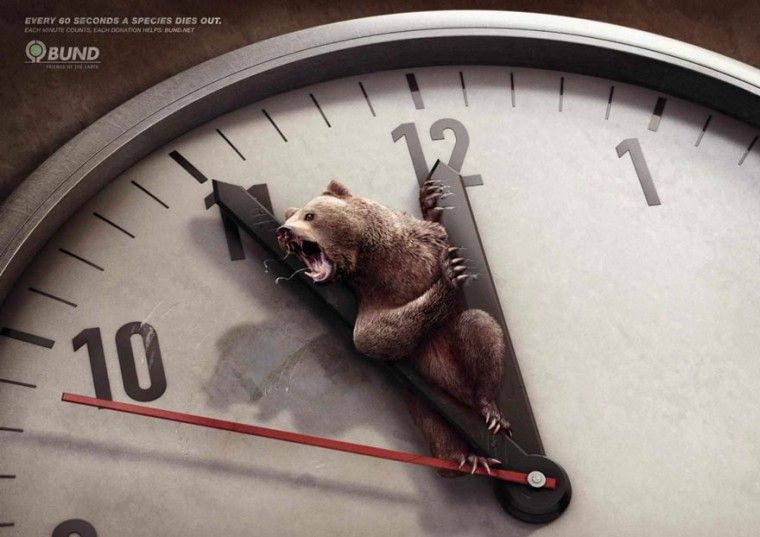public-social-ads-animals-6