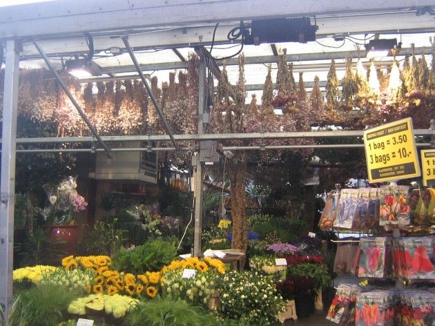 Fiori Secchi