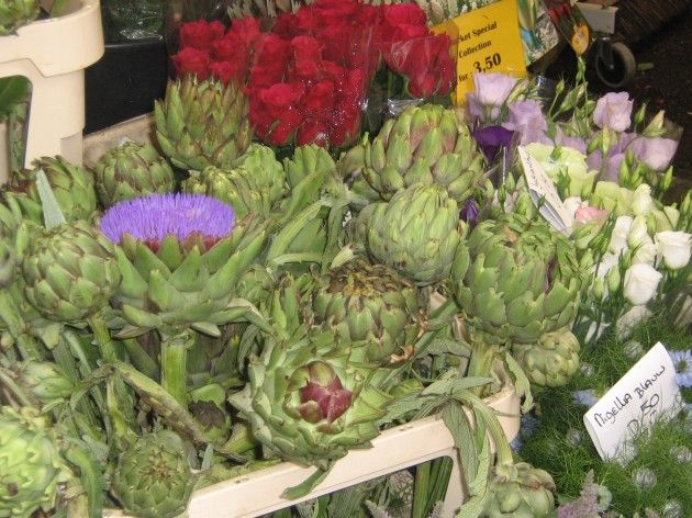 Sembrano Carciofi
