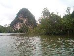 Mangrovie Krabi Grotta