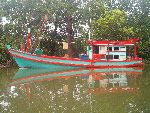 Mangrovie Krabi Grotta