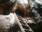 Mangrovie Krabi Grotta