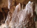 Mangrovie Krabi Grotta