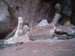 Mangrovie Krabi Grotta
