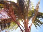 Spiaggia in thailandia