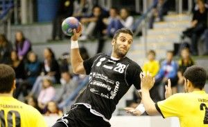 Silva elevazione