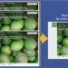 <b>Facebook: cambia il Formato dei Post per le Pagine</b>