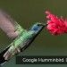 google humminbird