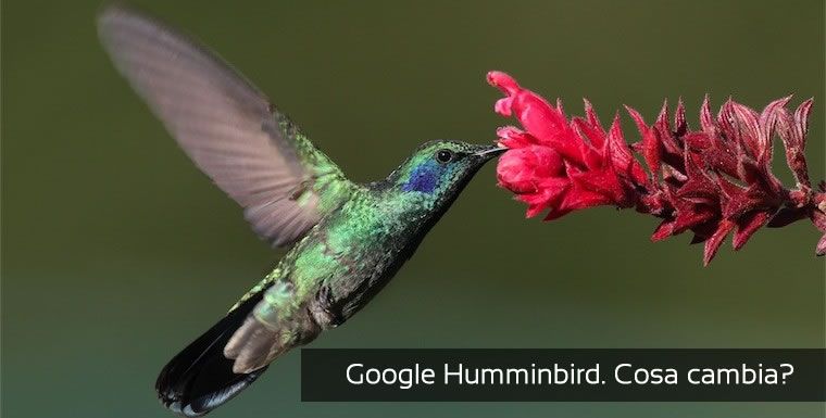 Google Hummingbird Update: Che cosa cambia per i webmaster?