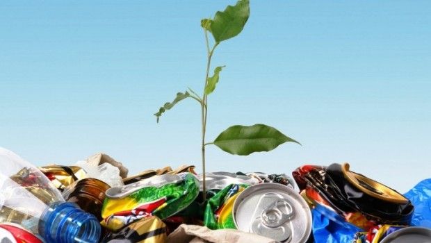 Futuro sostenibile: come ricavare energia dai rifiuti