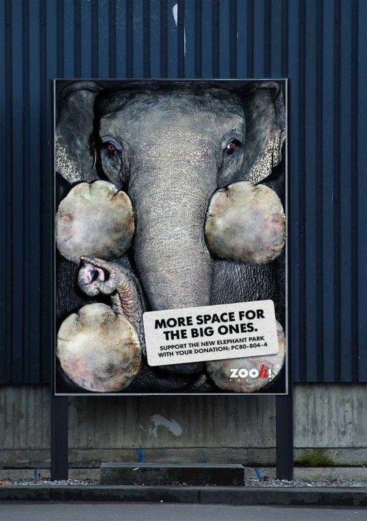 public-social-ads-animals-47