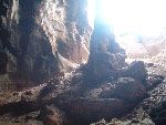 Mangrovie Krabi Grotta