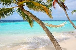 summer-holiday1